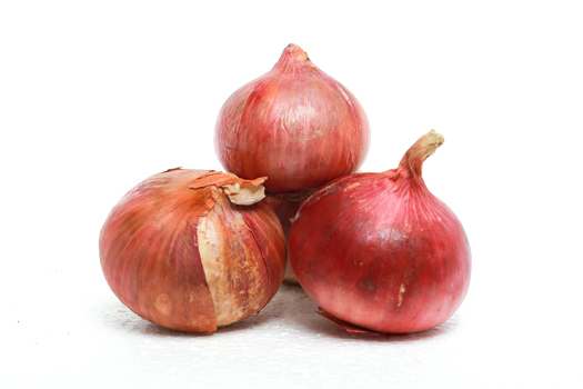 mega onion shop