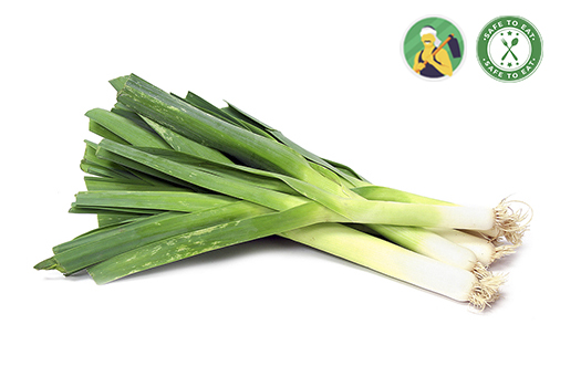 Buy Leeks Online in Kochi, Trivandrum, Thrissur, Kottayam